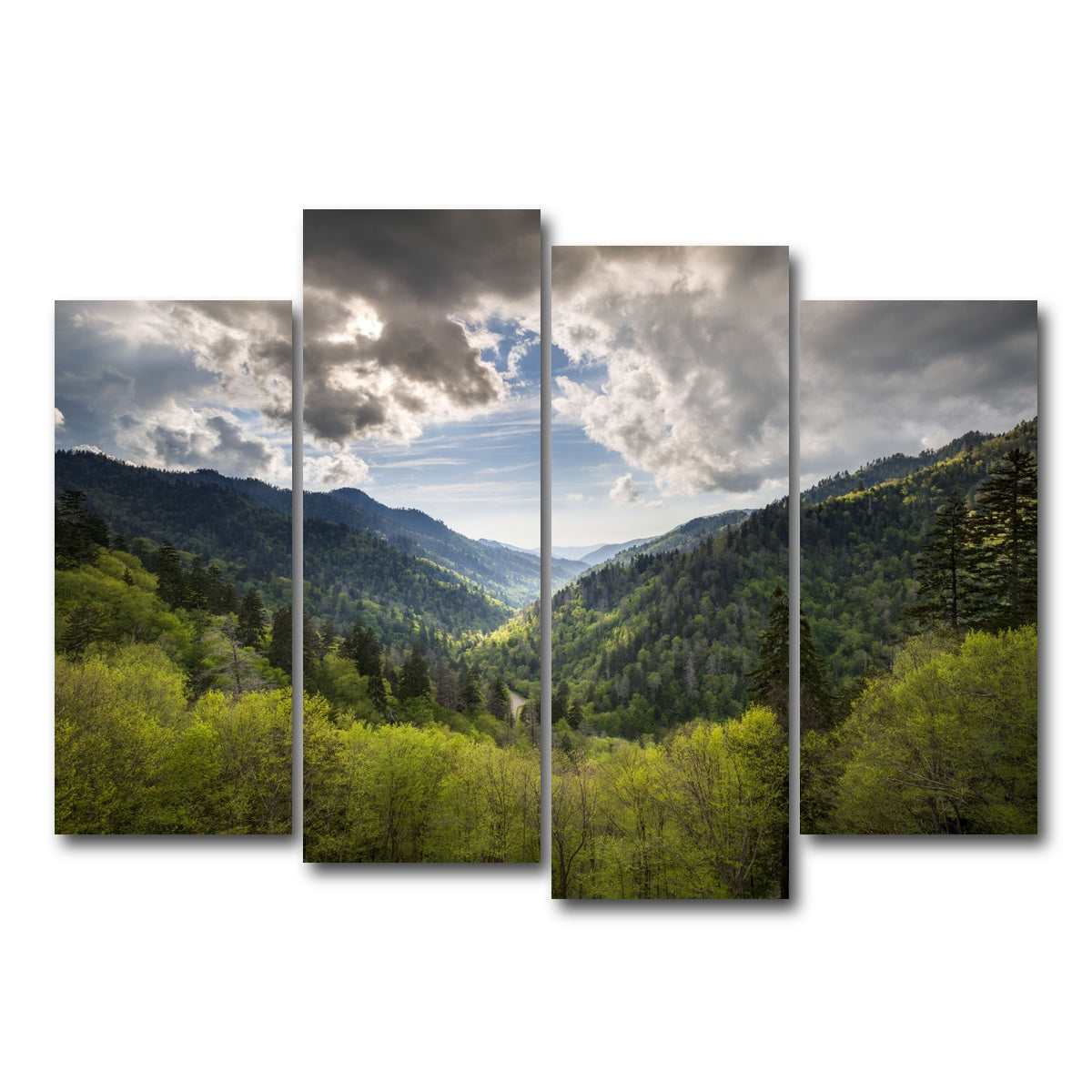 AUTO-MOCKUP WHITE | Great Smoky Mountains National Park | 4 Piece | Gallery Wrap Canvas | group=4_normal