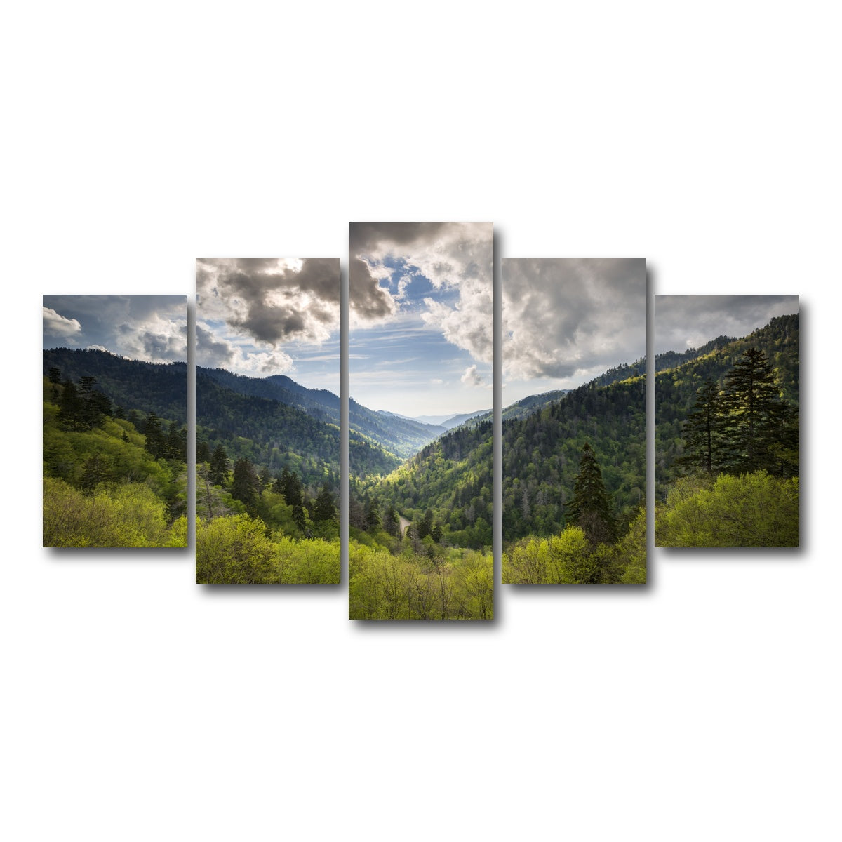 AUTO-MOCKUP WHITE | Great Smoky Mountains National Park | 5 Piece | Gallery Wrap Canvas | group=5_normal