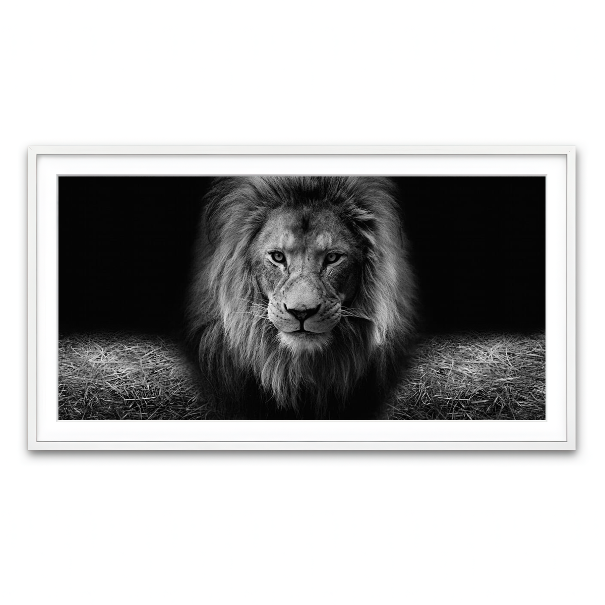 Framed Print 2x1 White