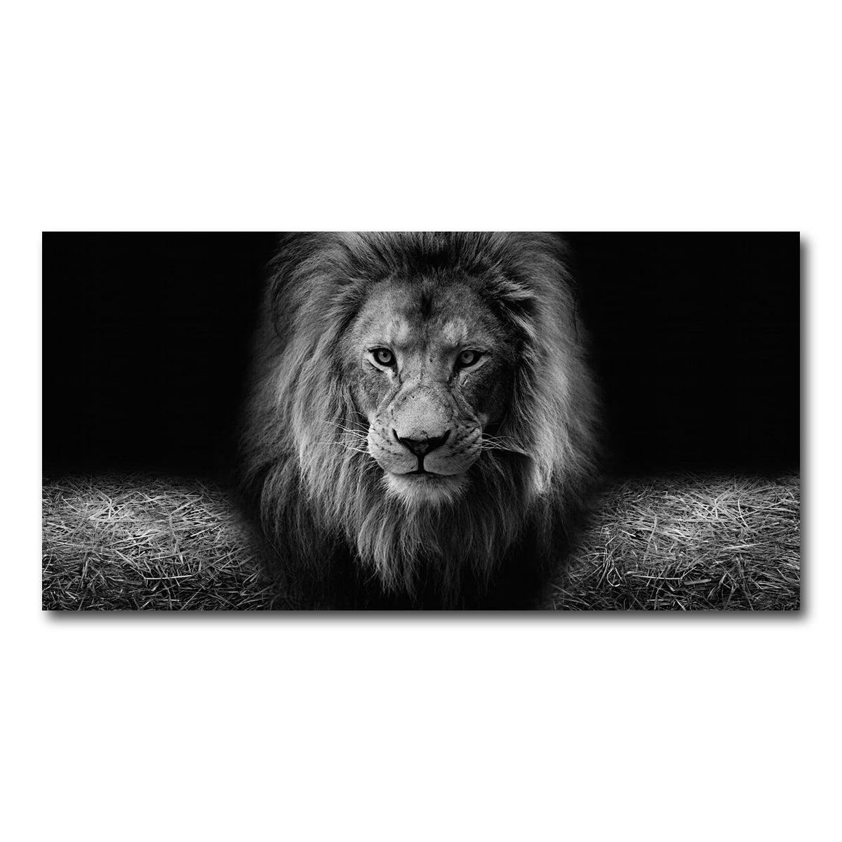 AUTO-MOCKUP WHITE | Lion head | 1 Piece | Gallery Wrap Canvas | group=2x1