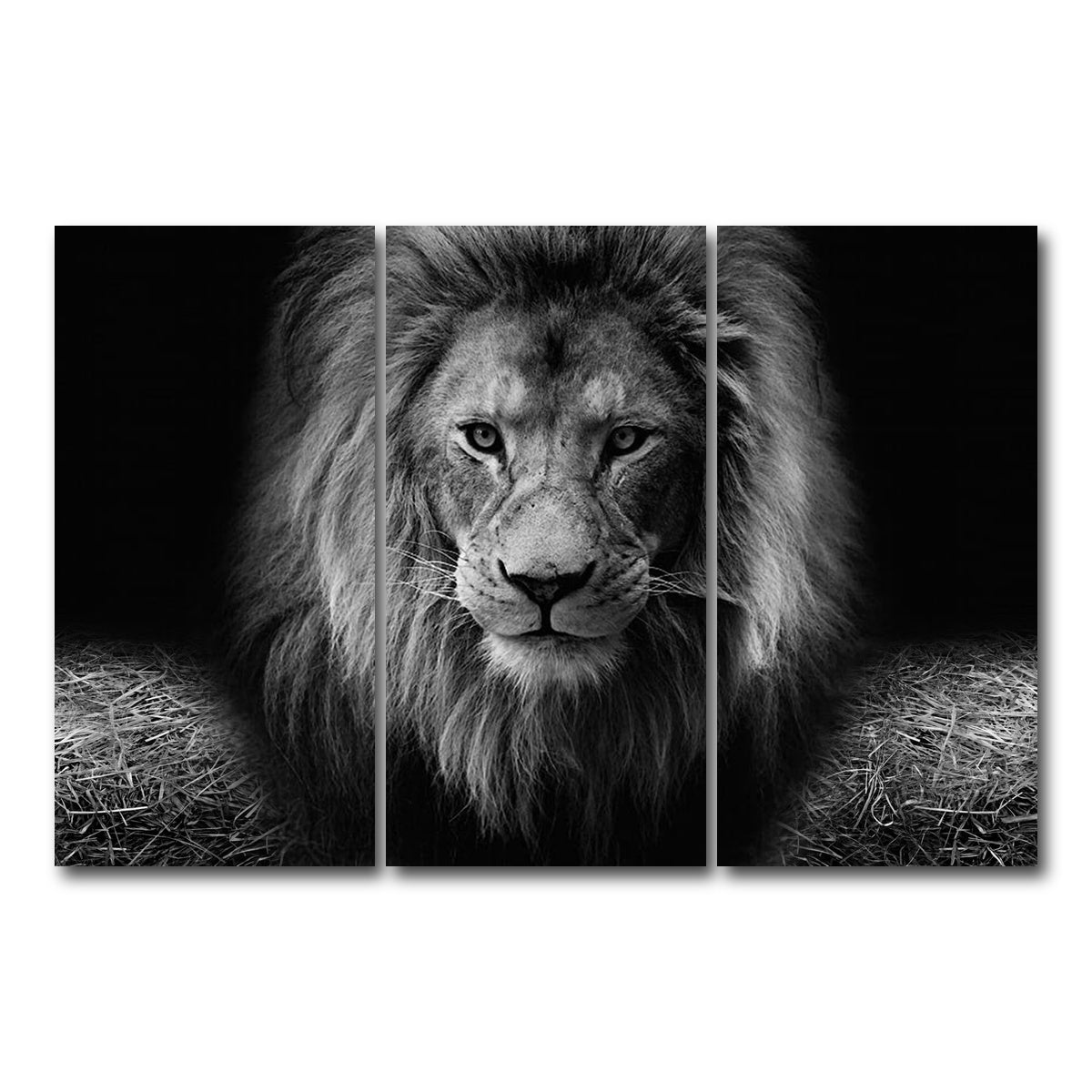AUTO-MOCKUP WHITE | Lion head | 3 Piece | Gallery Wrap Canvas | group=12x24