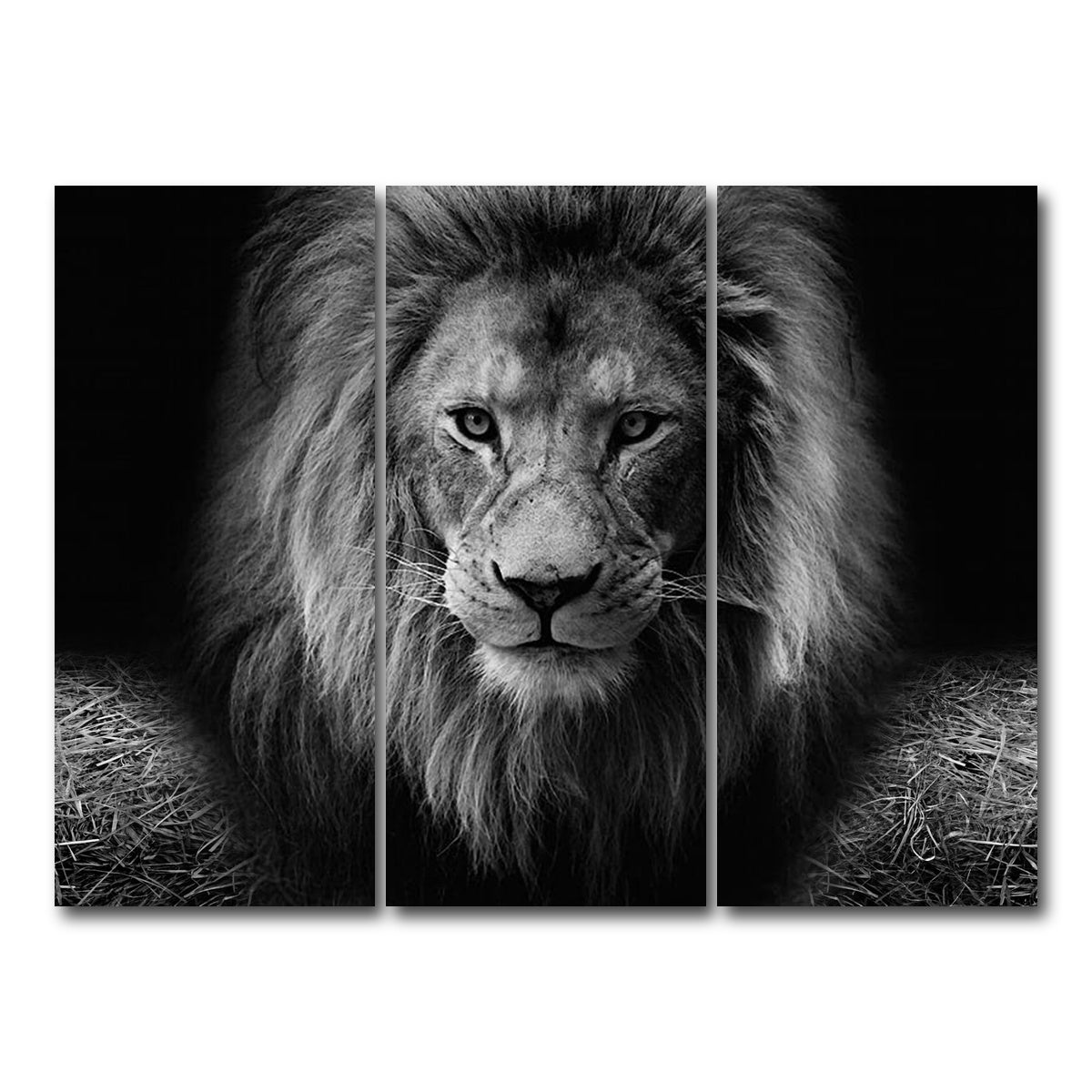 AUTO-MOCKUP WHITE | Lion head | 3 Piece | Gallery Wrap Canvas | group=8x18