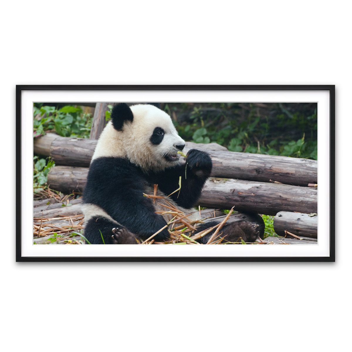 Framed Print 2x1 Black