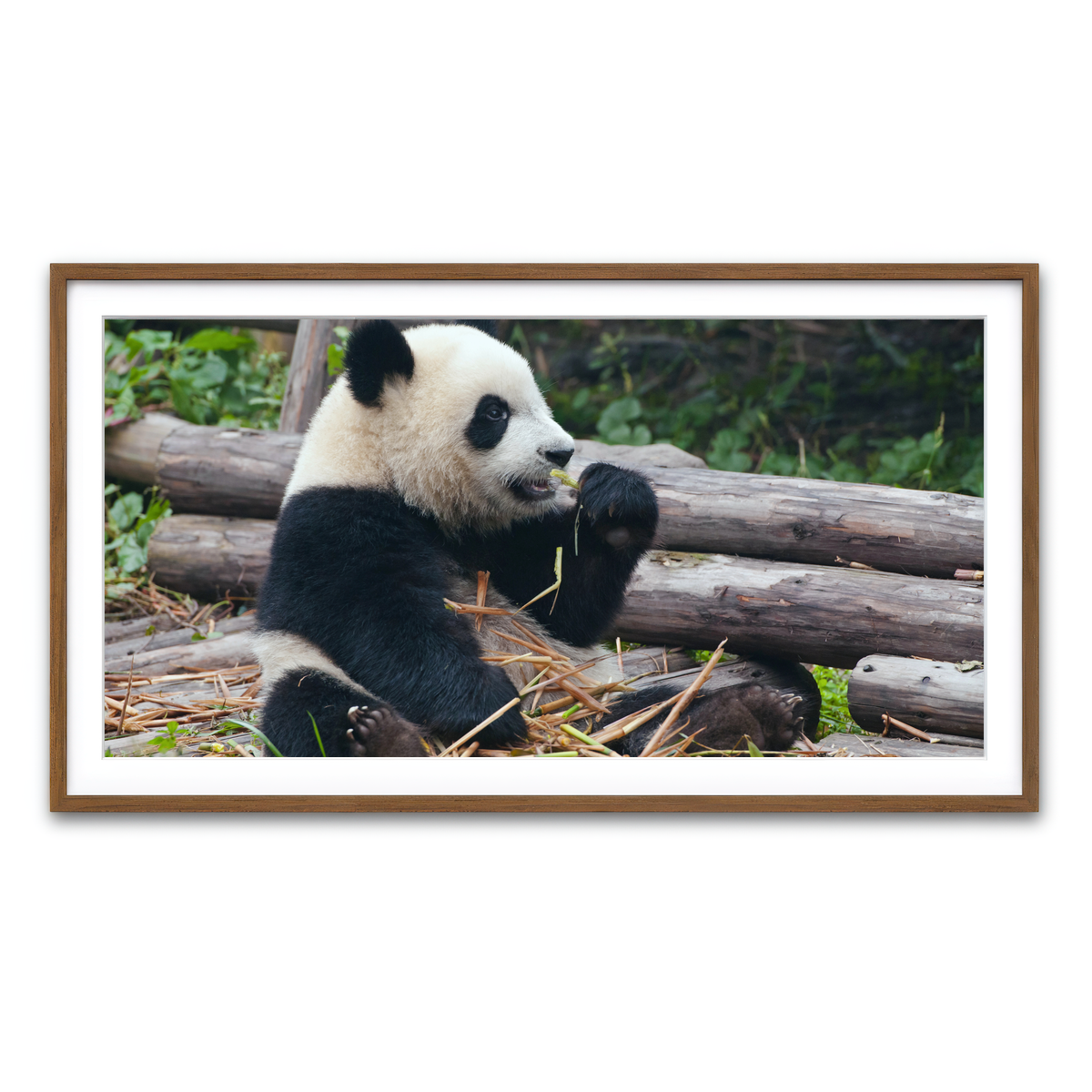 Framed Print 2x1 Walnut