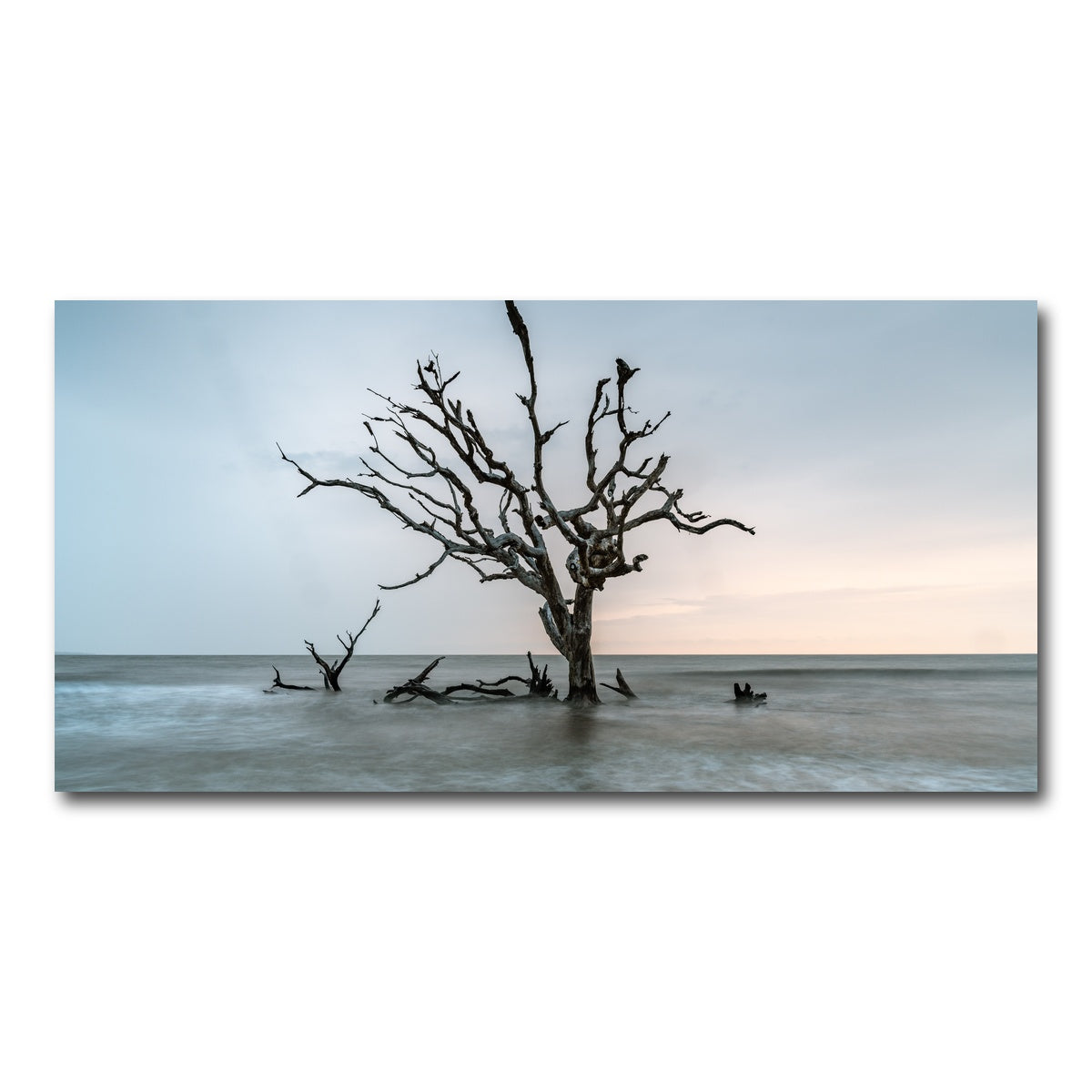 AUTO-MOCKUP WHITE | Salt Tree | 1 Piece | Gallery Wrap Canvas | group=2x1