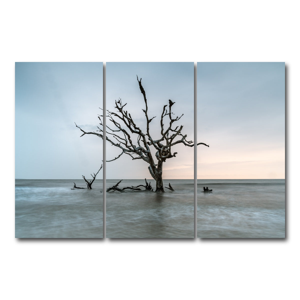 AUTO-MOCKUP WHITE | Salt Tree | 3 Piece | Gallery Wrap Canvas | group=12x24