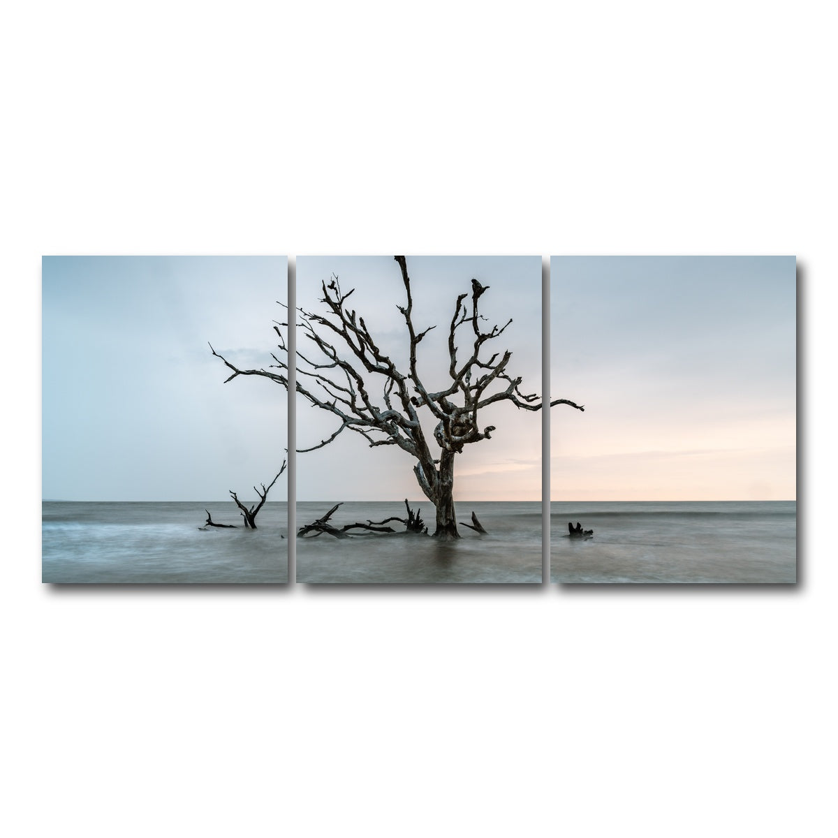 AUTO-MOCKUP WHITE | Salt Tree | 3 Piece | Gallery Wrap Canvas | group=18x24