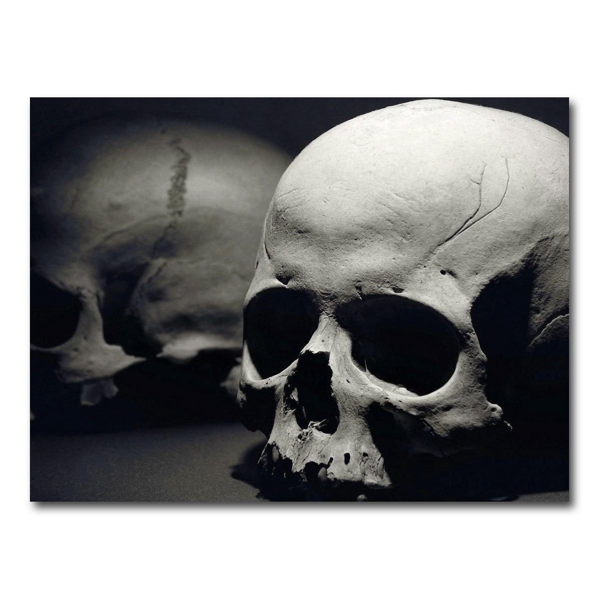 AUTO-MOCKUP WHITE | Skulls | 1 Piece | Gallery Wrap Canvas | group=4x3