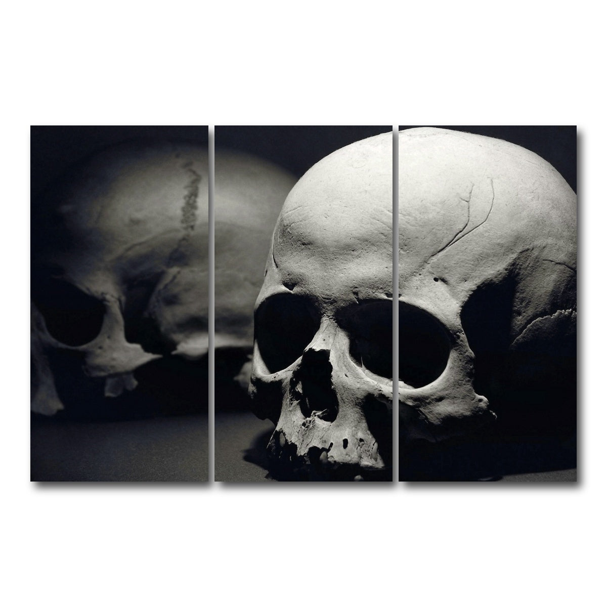 AUTO-MOCKUP WHITE | Skulls | 3 Piece | Gallery Wrap Canvas | group=12x24
