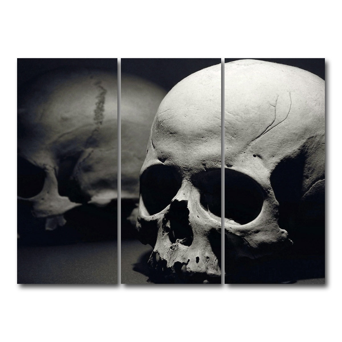 AUTO-MOCKUP WHITE | Skulls | 3 Piece | Gallery Wrap Canvas | group=8x18