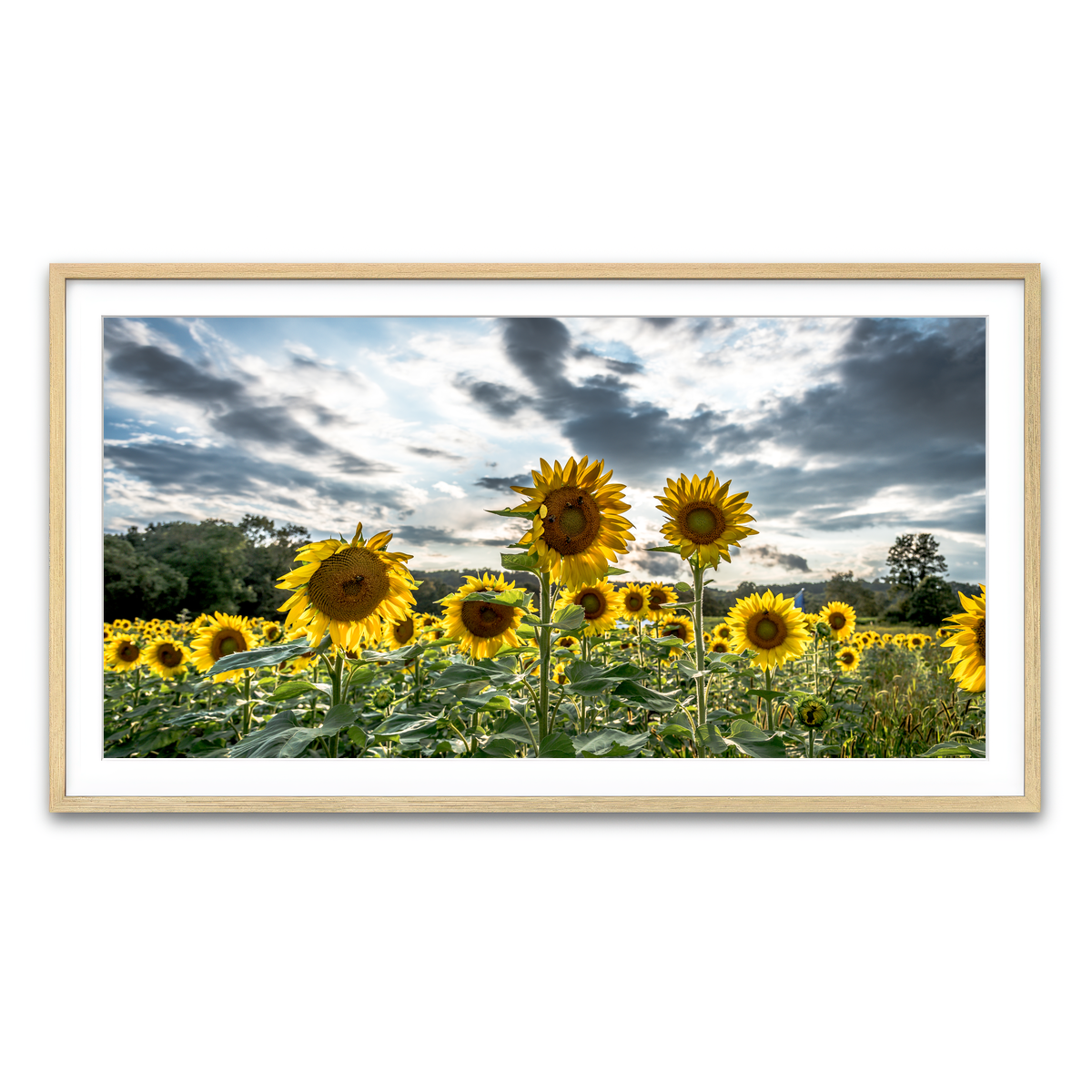 Framed Print 2x1 Natural
