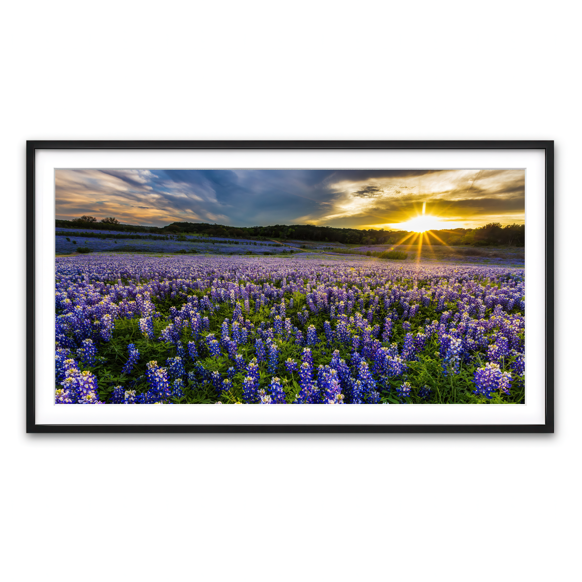 Framed Print 2x1 Black