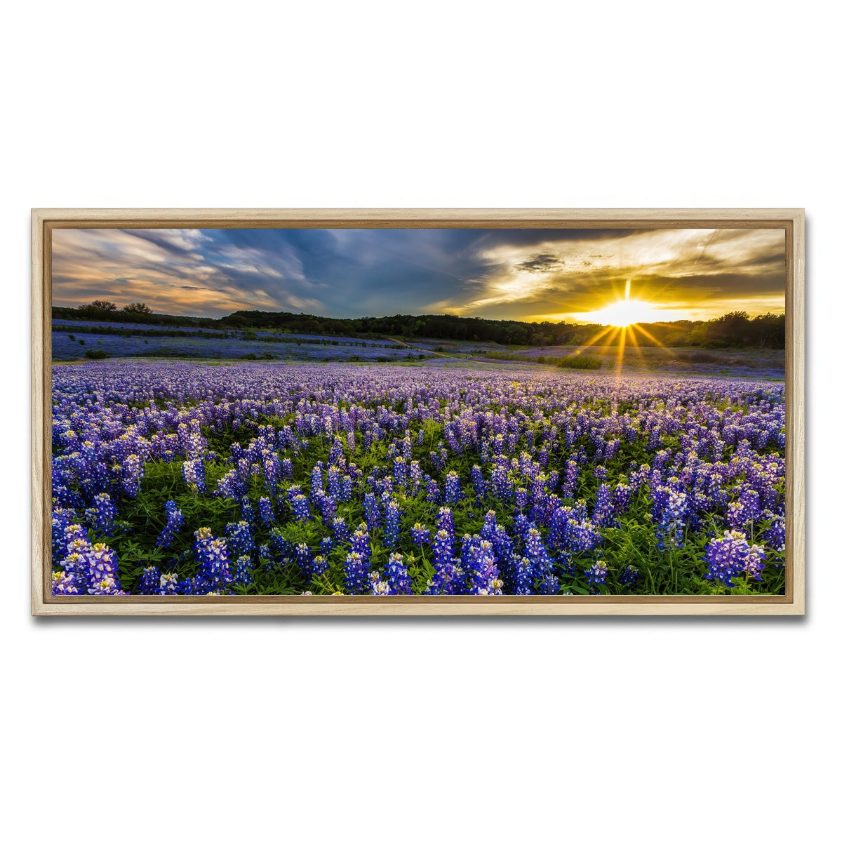 AUTO-MOCKUP WHITE | Texas bluebonnet field Muleshoe Bend | 1 Piece | Natural Framed Canvas | group=2x1