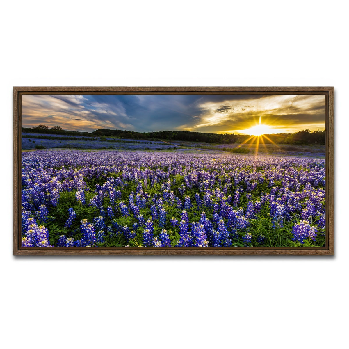 AUTO-MOCKUP WHITE | Texas bluebonnet field Muleshoe Bend | 1 Piece | Walnut Framed Canvas | group=2x1