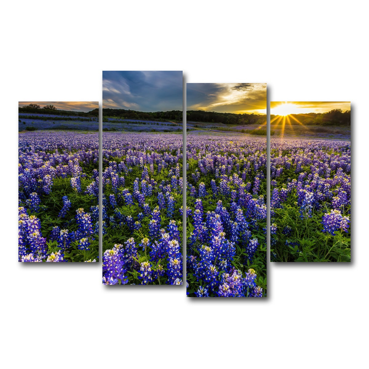 AUTO-MOCKUP WHITE | Texas bluebonnet field Muleshoe Bend | 4 Piece | Gallery Wrap Canvas | group=4_short