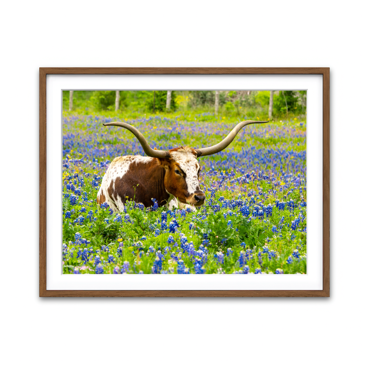 Framed Print 4x3 Walnut