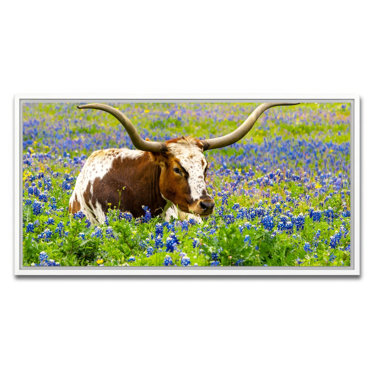 AUTO-MOCKUP WHITE | Texas longhorn bull | 1 Piece | White Framed Canvas | group=2x1