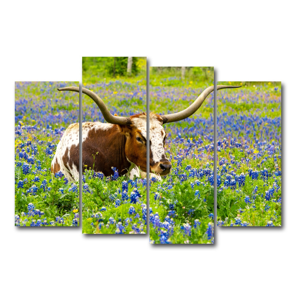 AUTO-MOCKUP WHITE | Texas longhorn bull | 4 Piece | Gallery Wrap Canvas | group=4_normal