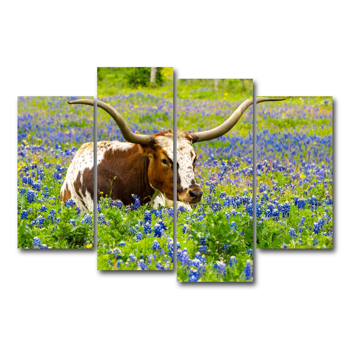 AUTO-MOCKUP WHITE | Texas longhorn bull | 4 Piece | Gallery Wrap Canvas | group=4_short