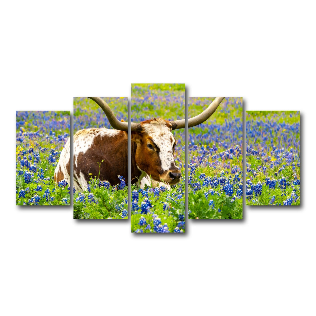 AUTO-MOCKUP WHITE | Texas longhorn bull | 5 Piece | Gallery Wrap Canvas | group=5_normal