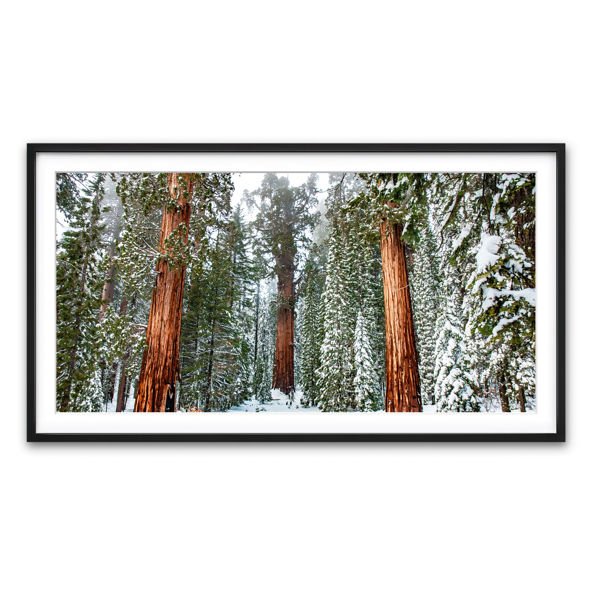 Framed Print 2x1 Black