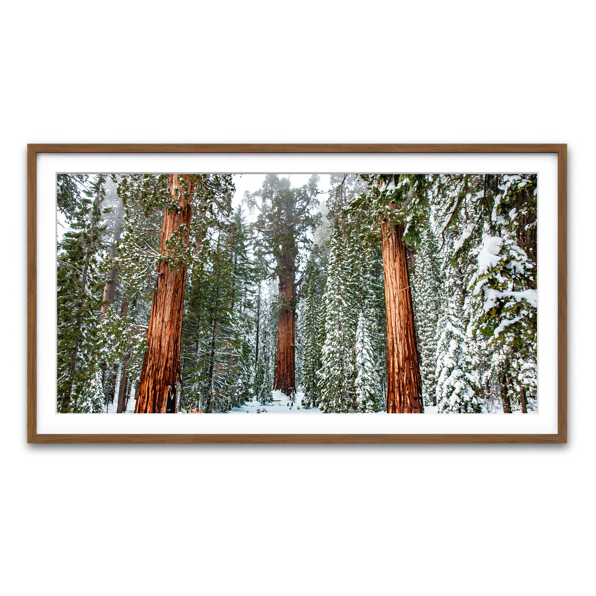 Framed Print 2x1 Walnut