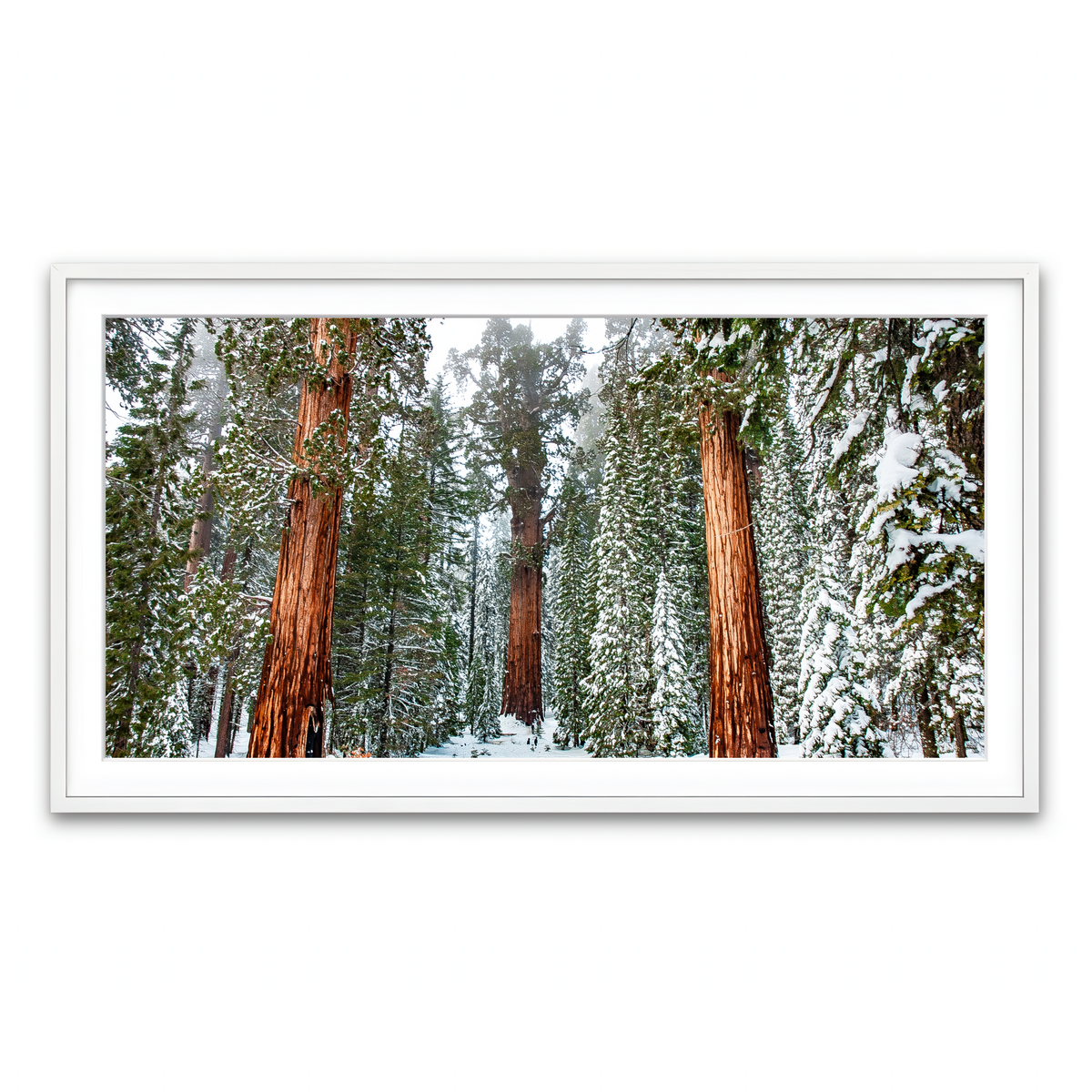 Framed Print 2x1 White