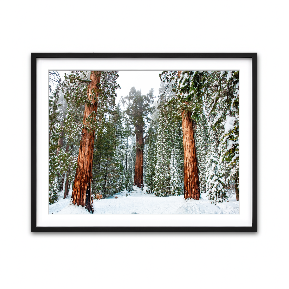 Framed Print 4x3 Black