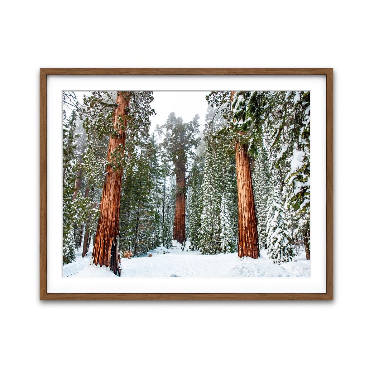 Framed Print 4x3 Walnut