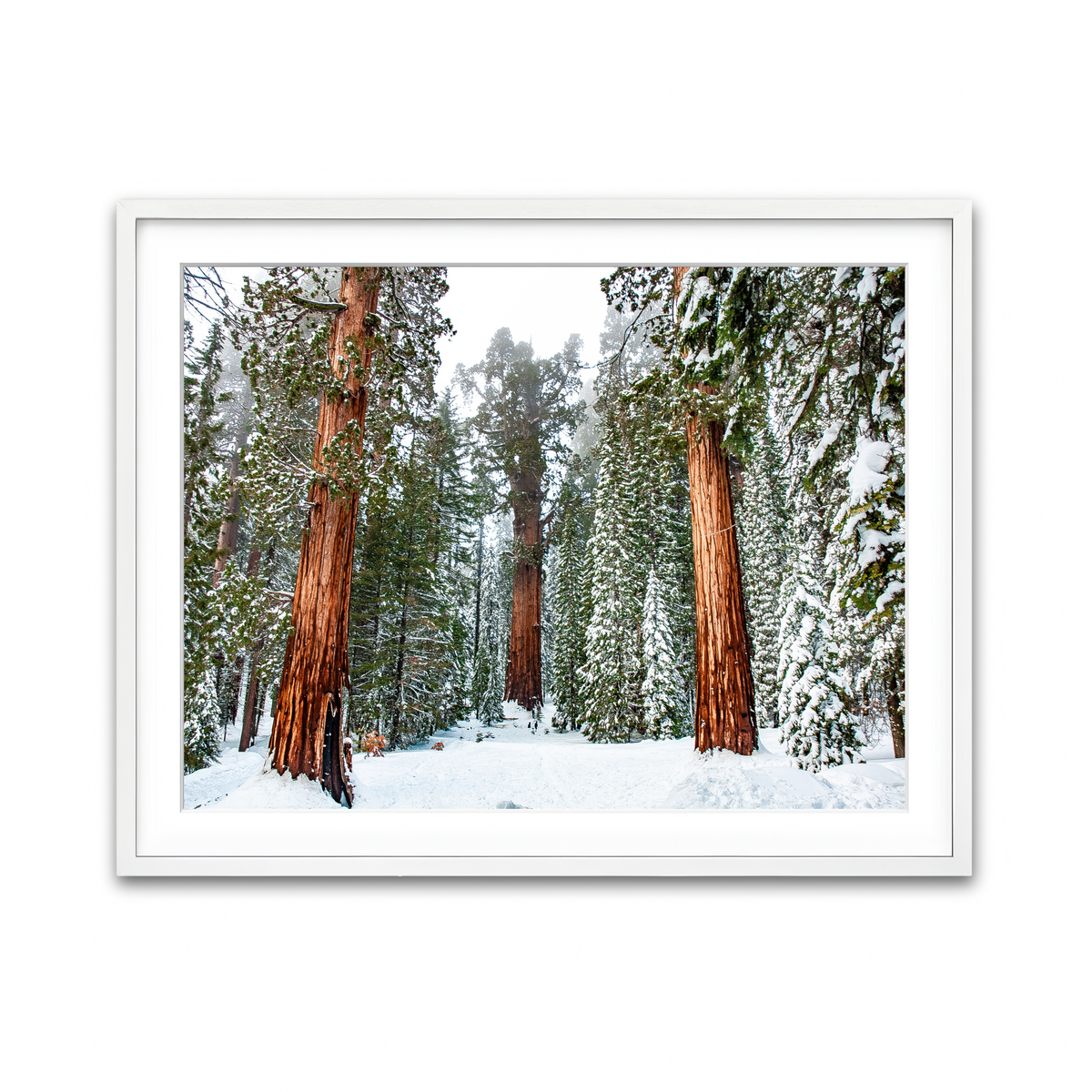 Framed Print 4x3 White