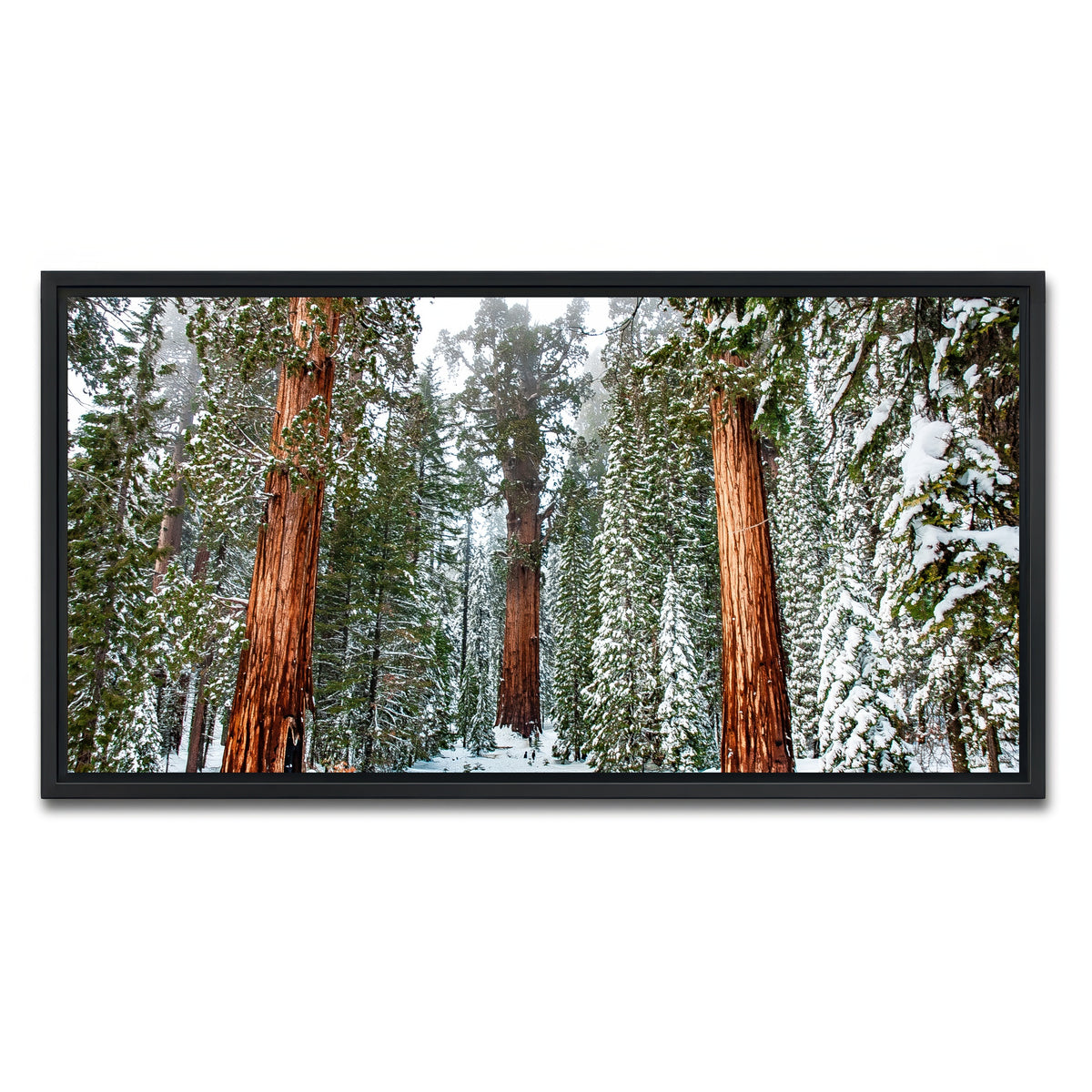 AUTO-MOCKUP WHITE | The General | 1 Piece | Black Framed Canvas | group=2x1