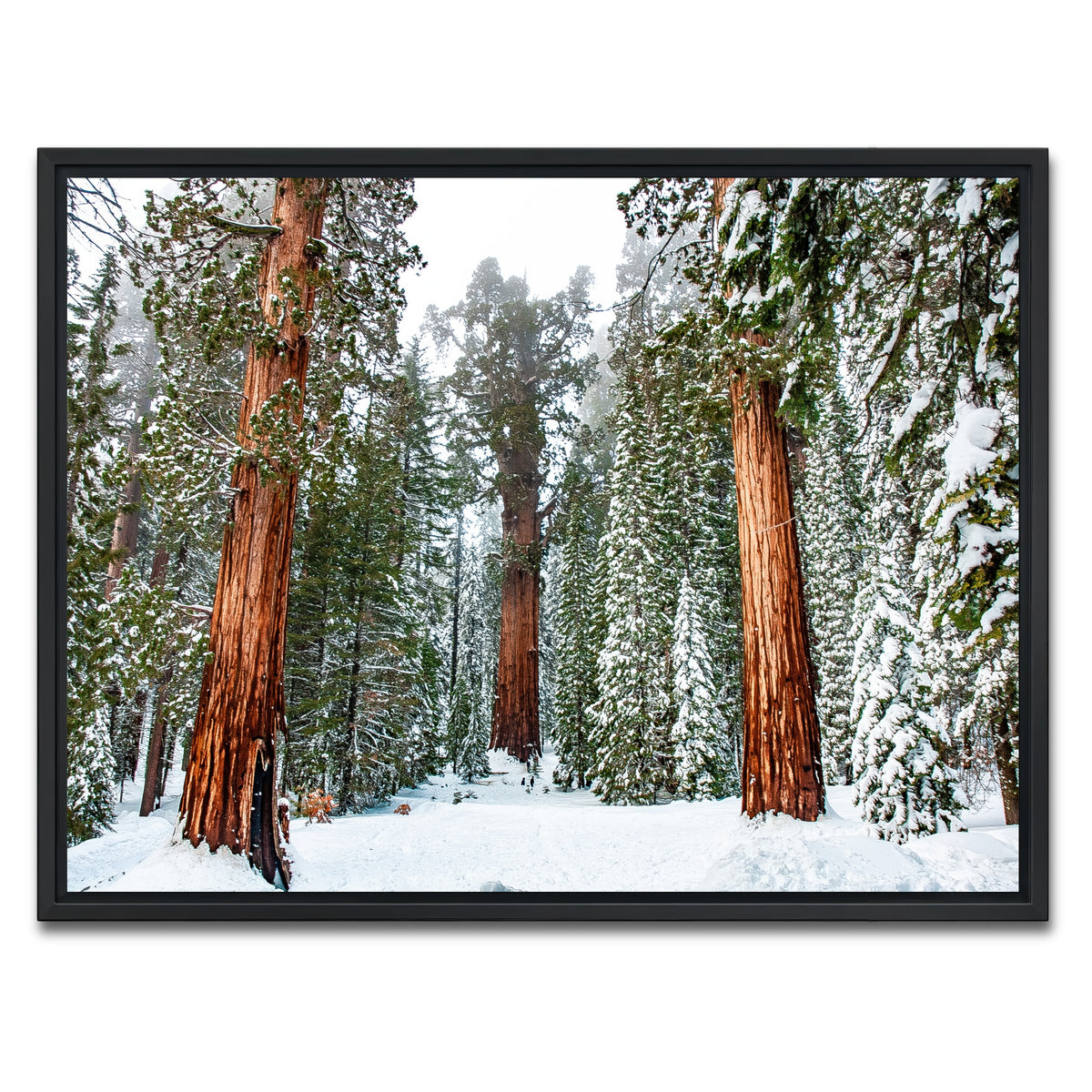 AUTO-MOCKUP WHITE | The General | 1 Piece | Black Framed Canvas | group=4x3