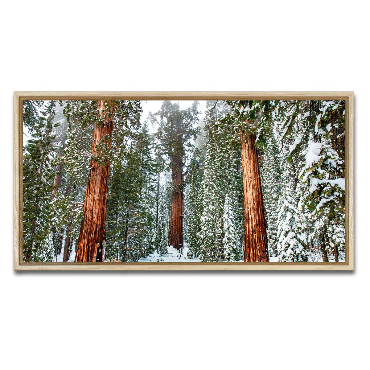 AUTO-MOCKUP WHITE | The General | 1 Piece | Natural Framed Canvas | group=2x1