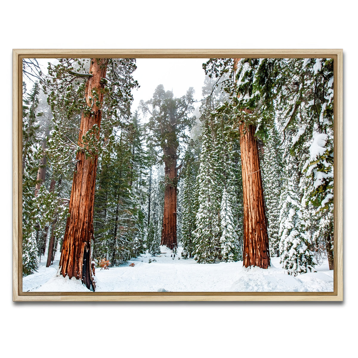 AUTO-MOCKUP WHITE | The General | 1 Piece | Natural Framed Canvas | group=4x3