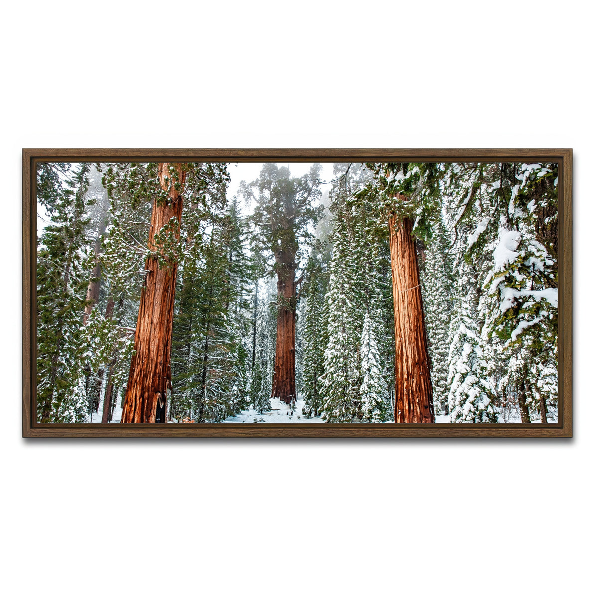 AUTO-MOCKUP WHITE | The General | 1 Piece | Walnut Framed Canvas | group=2x1