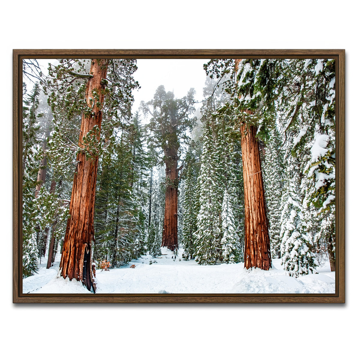 AUTO-MOCKUP WHITE | The General | 1 Piece | Walnut Framed Canvas | group=4x3