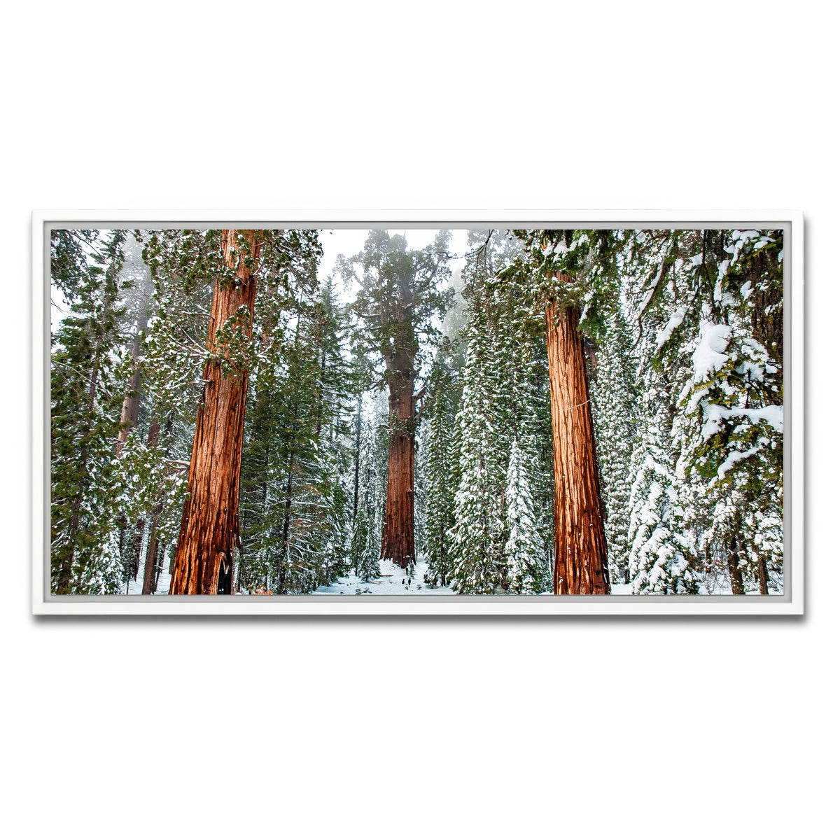 AUTO-MOCKUP WHITE | The General | 1 Piece | White Framed Canvas | group=2x1