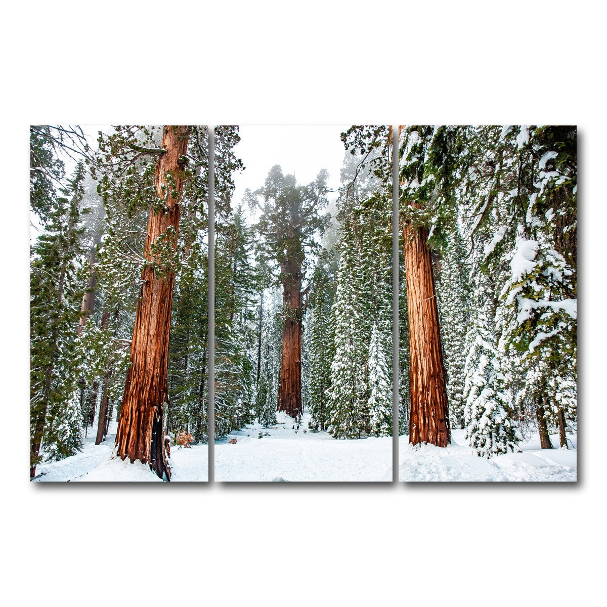 AUTO-MOCKUP WHITE | The General | 3 Piece | Gallery Wrap Canvas | group=12x24