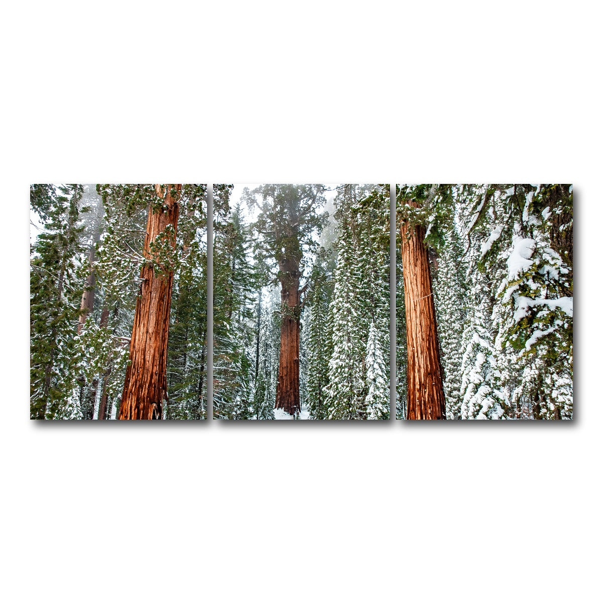 AUTO-MOCKUP WHITE | The General | 3 Piece | Gallery Wrap Canvas | group=18x24