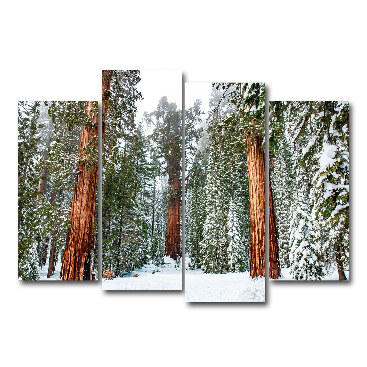 AUTO-MOCKUP WHITE | The General | 4 Piece | Gallery Wrap Canvas | group=4_normal