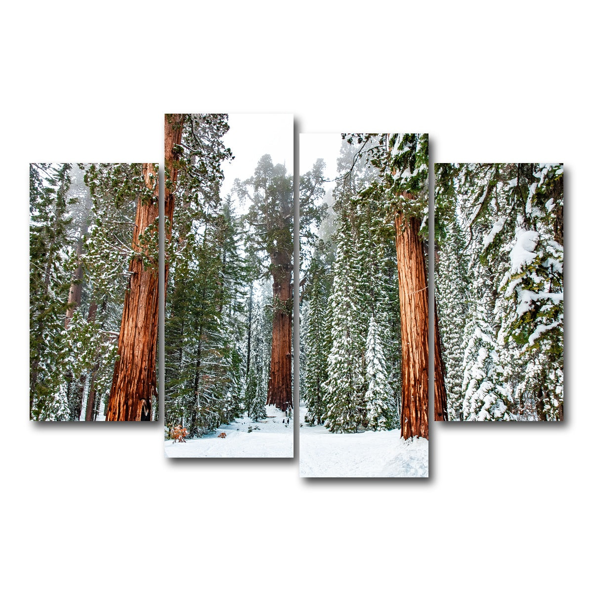 AUTO-MOCKUP WHITE | The General | 4 Piece | Gallery Wrap Canvas | group=4_short