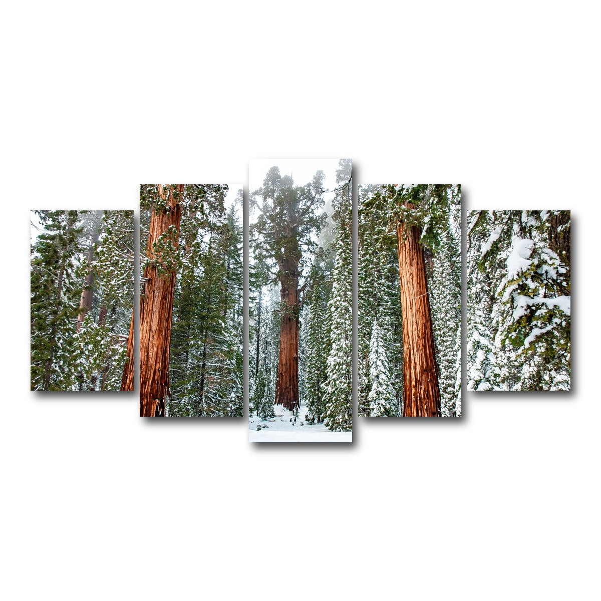 AUTO-MOCKUP WHITE | The General | 5 Piece | Gallery Wrap Canvas | group=5_normal