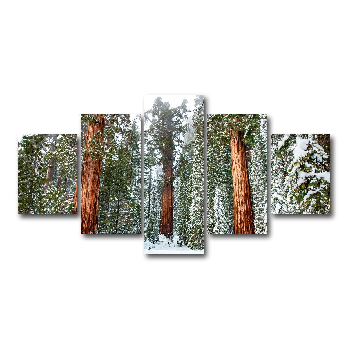 AUTO-MOCKUP WHITE | The General | 5 Piece | Gallery Wrap Canvas | group=5_short