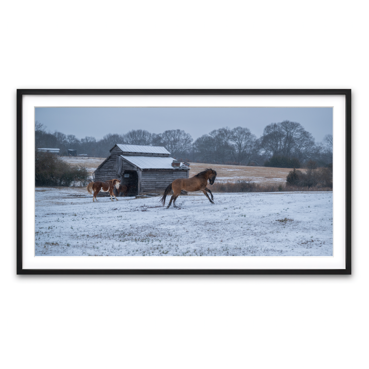 AUTO-MOCKUP WHITE | Williamston South Carolina Farm Horse | 1 Piece | Black Framed Print | group=2x1