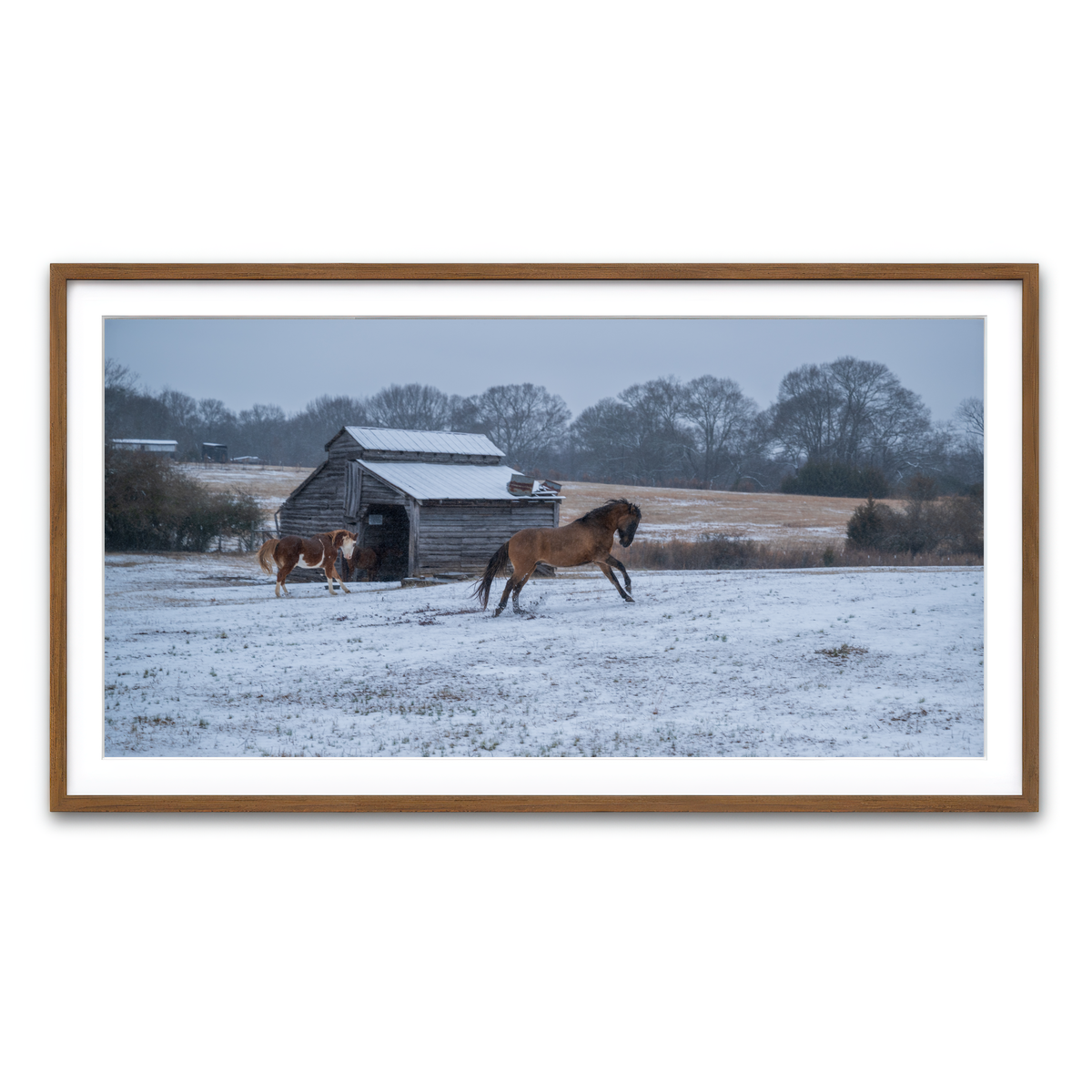 AUTO-MOCKUP WHITE | Williamston South Carolina Farm Horse | 1 Piece | Walnut Framed Print | group=2x1