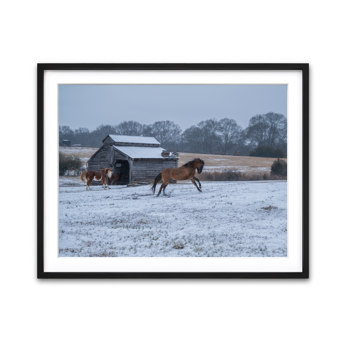 AUTO-MOCKUP WHITE | Williamston South Carolina Farm Horse | 1 Piece | Black Framed Print | group=4x3