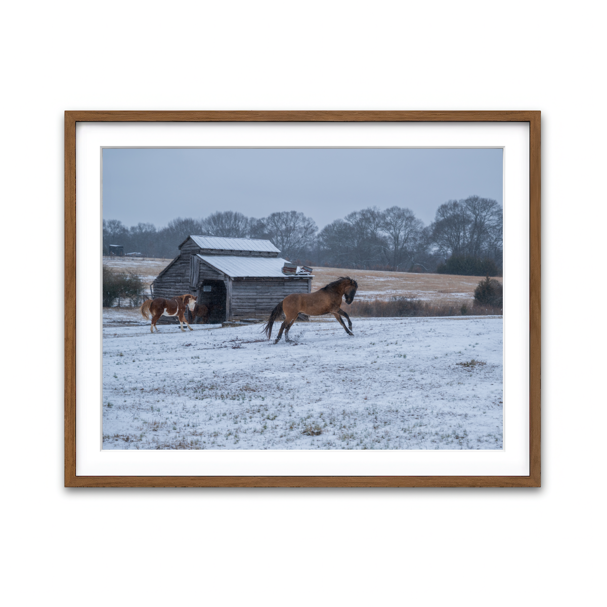 AUTO-MOCKUP WHITE | Williamston South Carolina Farm Horse | 1 Piece | Walnut Framed Print | group=4x3