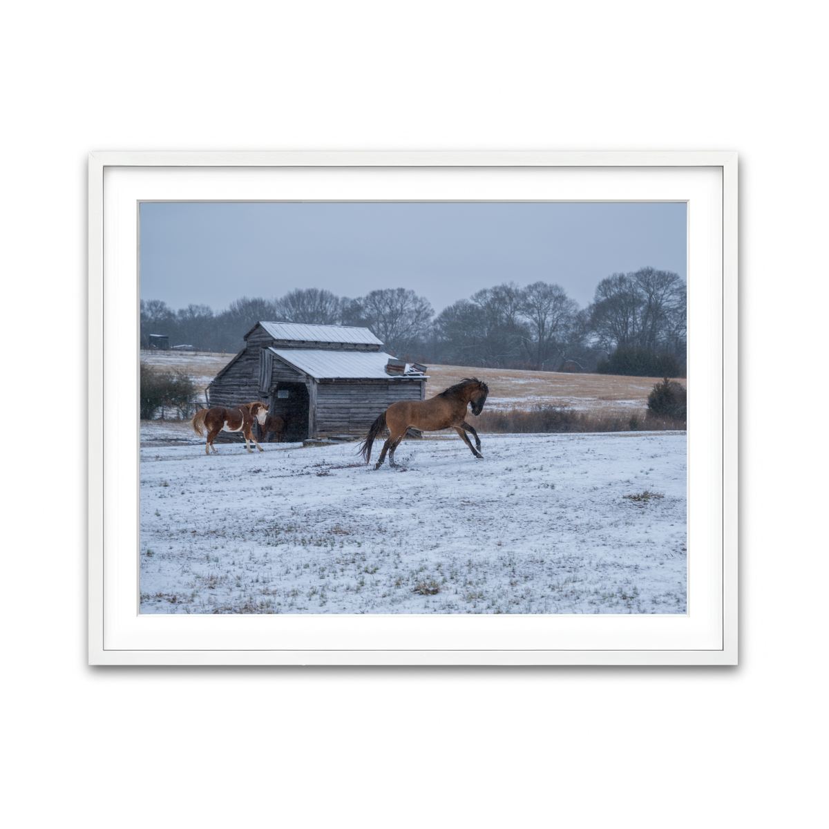AUTO-MOCKUP WHITE | Williamston South Carolina Farm Horse | 1 Piece | White Framed Print | group=4x3