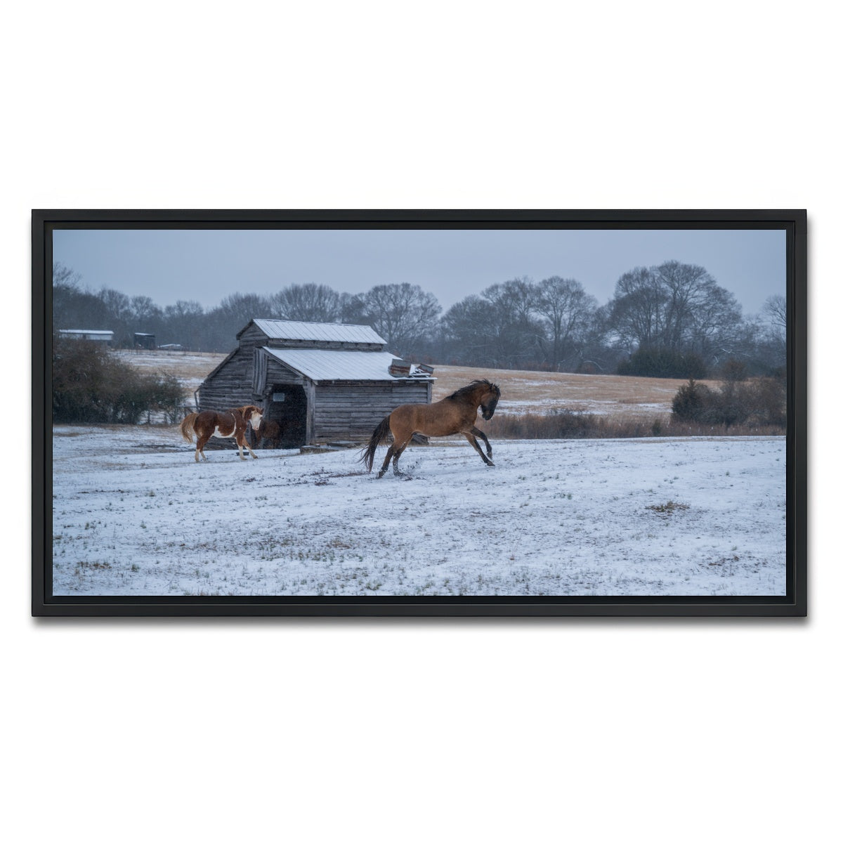 AUTO-MOCKUP WHITE | Williamston South Carolina Farm Horse | 1 Piece | Black Framed Canvas | group=2x1