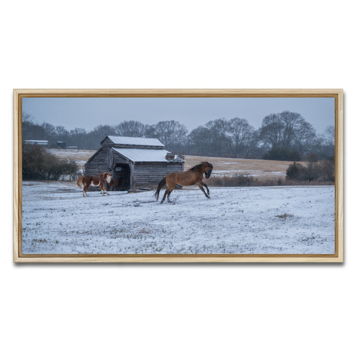AUTO-MOCKUP WHITE | Williamston South Carolina Farm Horse | 1 Piece | Natural Framed Canvas | group=2x1